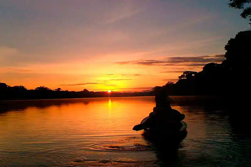 Tambopata Tour